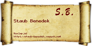 Staub Benedek névjegykártya